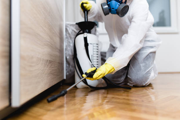 Best Residential Pest Control  in Happy Valley, OR