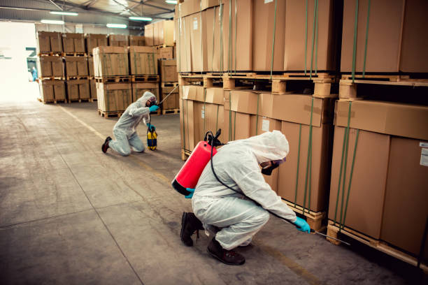 Best Ant Control Services  in Happy Valley, OR