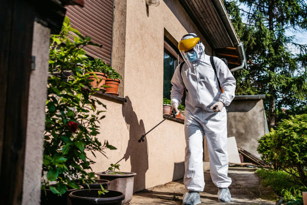 Trusted Happy Valley, OR Pest Control Experts