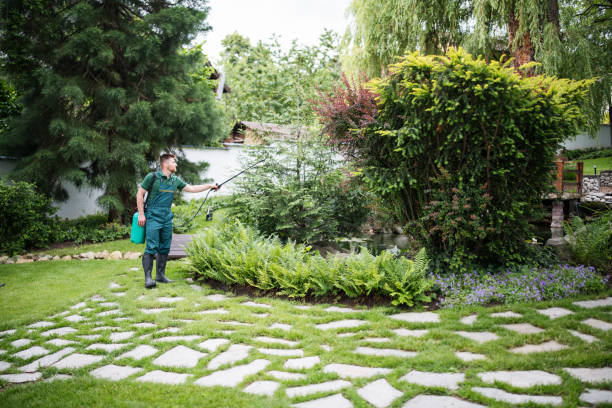 Wildlife Control Services in Happy Valley, OR