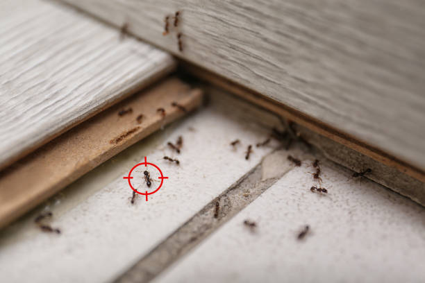 Best Wildlife Control Services  in Happy Valley, OR