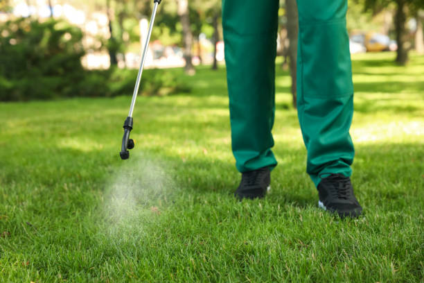 Best Pest Removal Services  in Happy Valley, OR