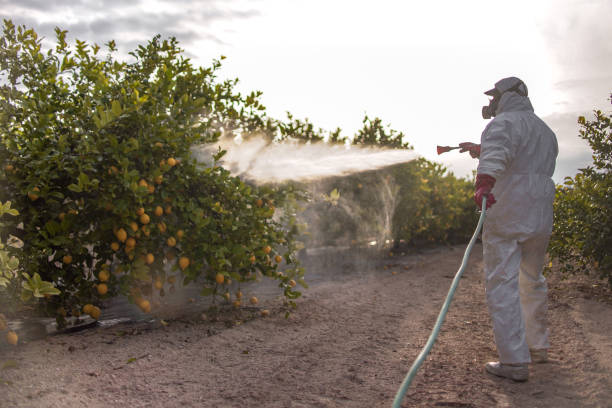 Best Rat Extermination Near Me  in Happy Valley, OR