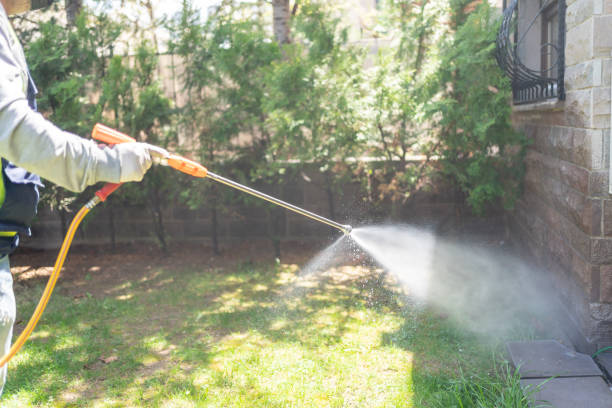 Best Local Pest Control Services  in Happy Valley, OR