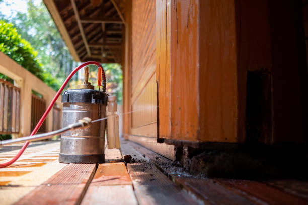Best Insect Control  in Happy Valley, OR