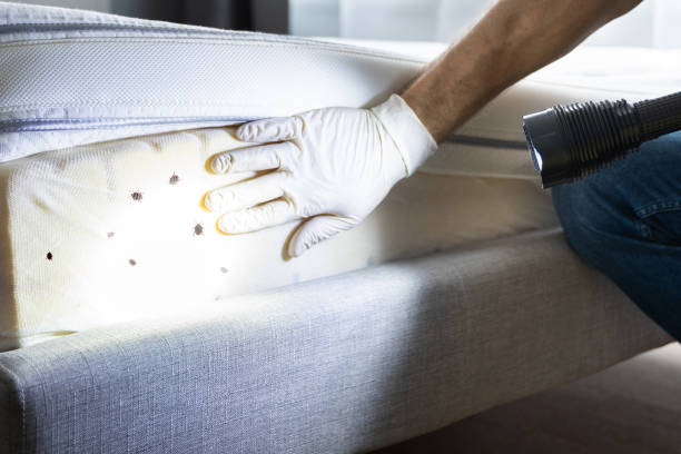 Best Pest Control Treatment  in Happy Valley, OR