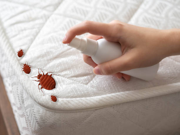 Best Pest Inspection Near Me  in Happy Valley, OR