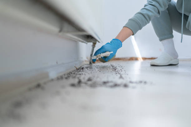 Best Spider Control Near Me  in Happy Valley, OR