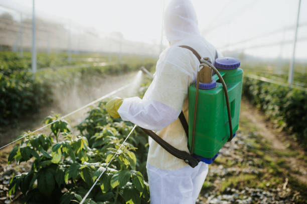 Best Flea Control Services  in Happy Valley, OR